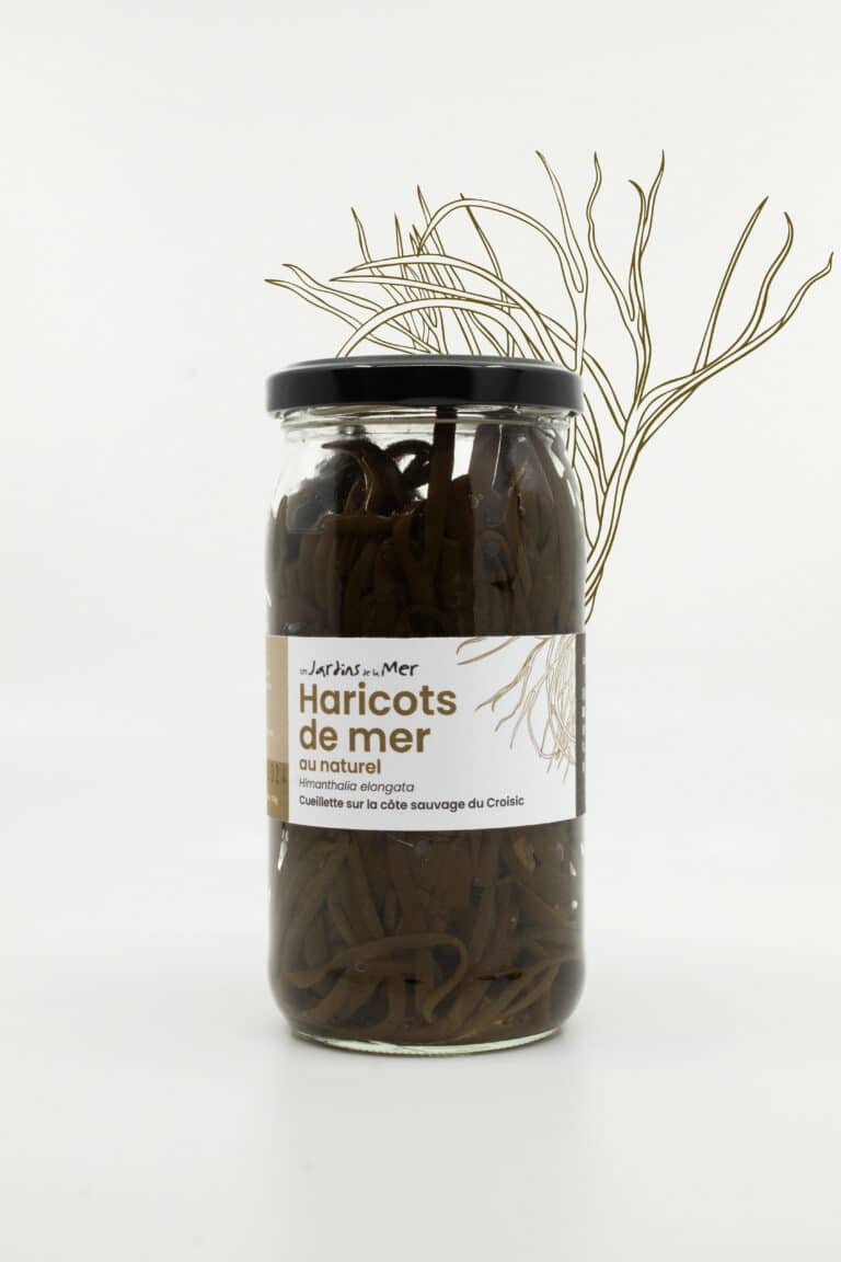 haricots_nature