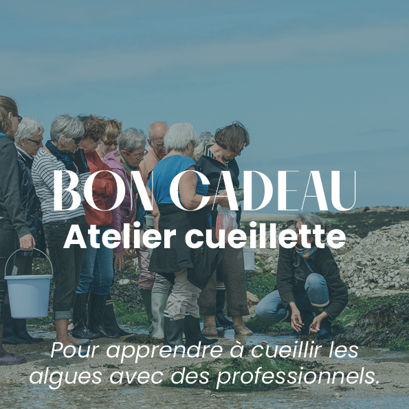 bons cadeaux2