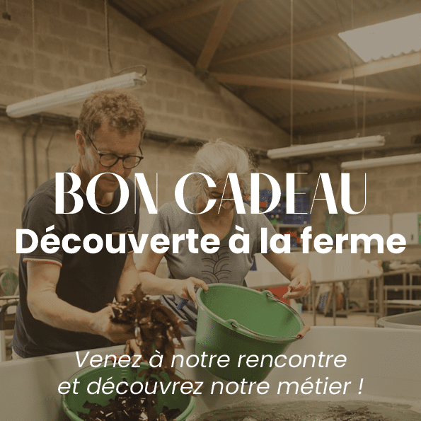 bons cadeaux3