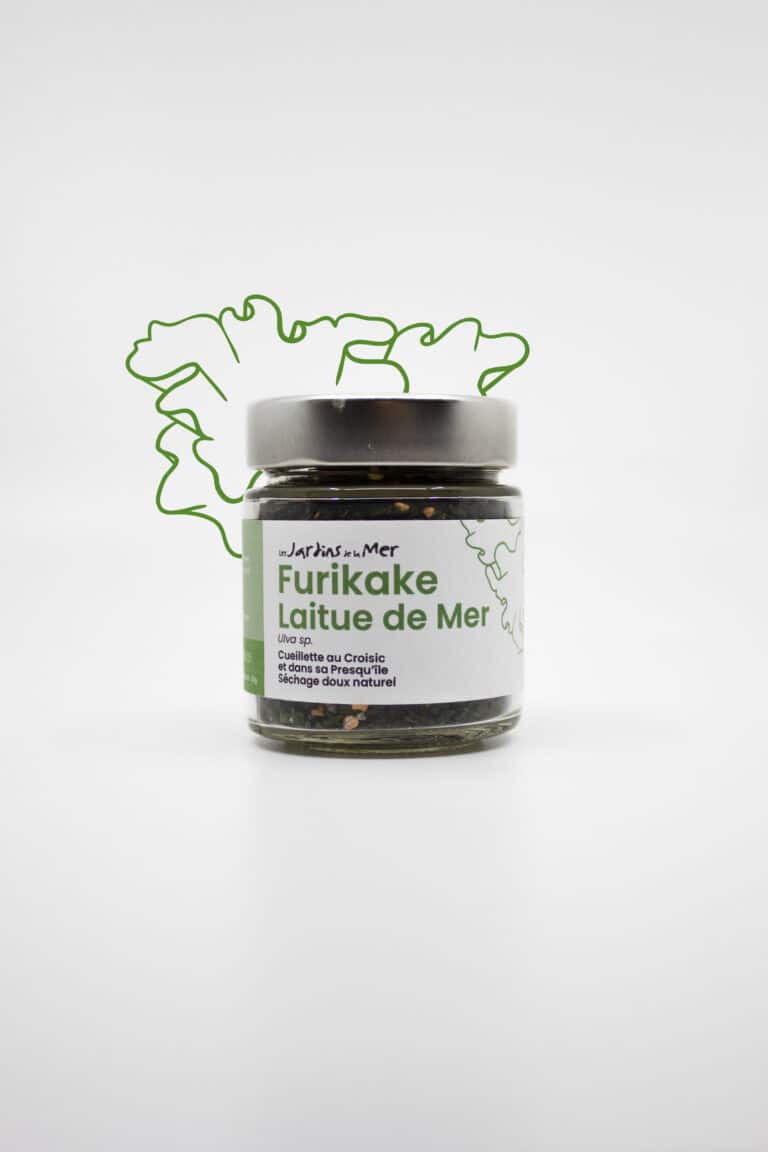 furikakeLaitue