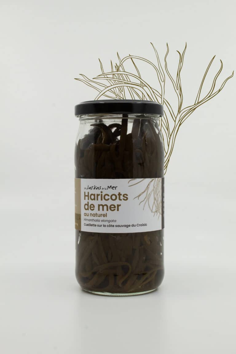 haricots_nature