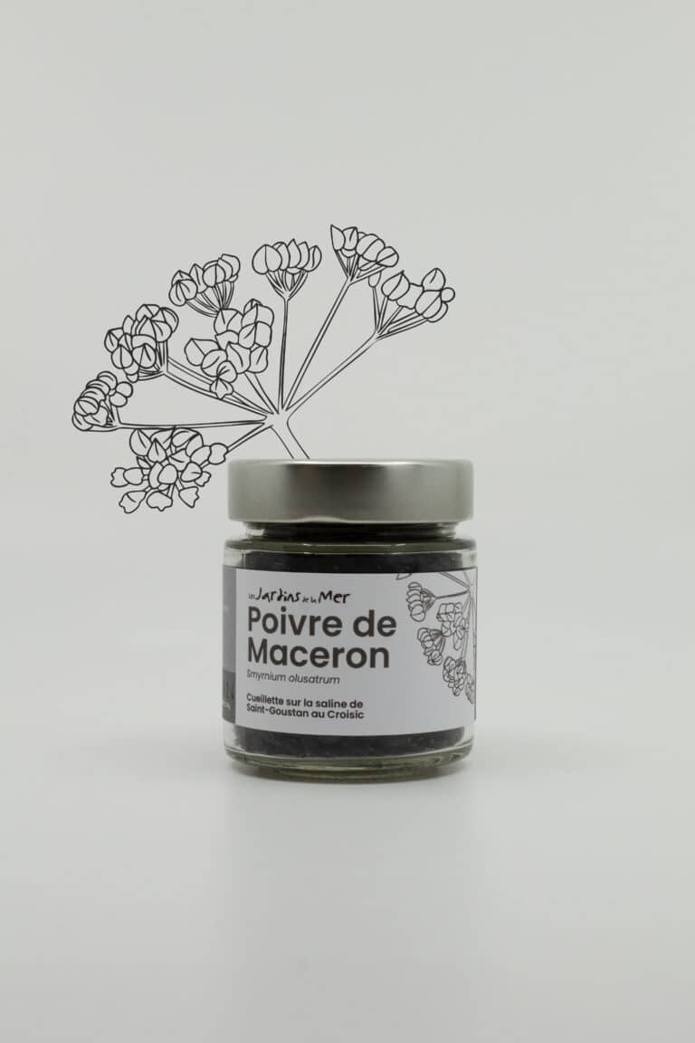 poivre_maceron